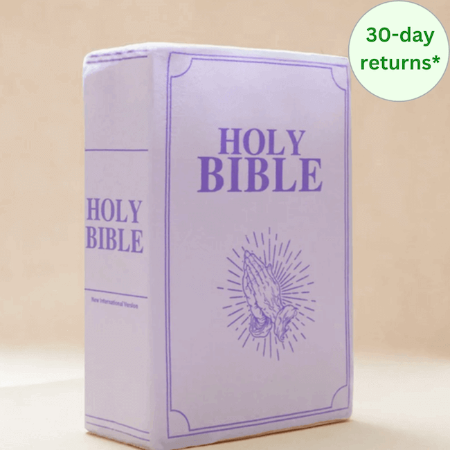 Plushie Bible Pillow